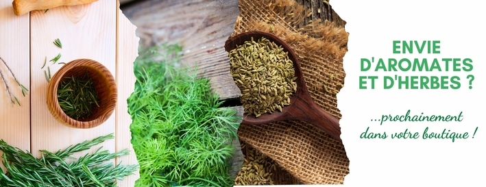 herbes-et-aromates-selection-voyage-epice-categorie